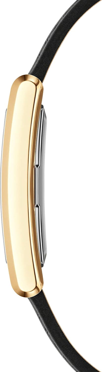 Оригинальные часы Daniel Wellington Daniel Wellington Bound Black Crocodile Gold DW00100740 кварцевые калибр механизма  общий вид