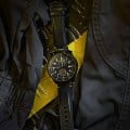 Hamilton H76776733