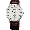 Часы Orient GW0100HW (FGW0100HW)