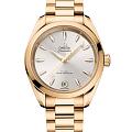 Часы Omega Seamaster Aqua Terra 220.50.34.20.02.001