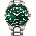 Часы Citizen Automatic NJ0196-80X