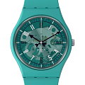 Часы Swatch Gent Biosourced Standard SO28G108