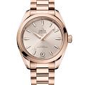 Часы Omega Seamaster Aqua Terra 220.50.34.20.09.001