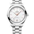 Часы Omega Seamaster Aqua Terra 220.10.30.20.02.001